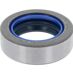 SEMERING 40X60X18.5 (12012107B) COMBI